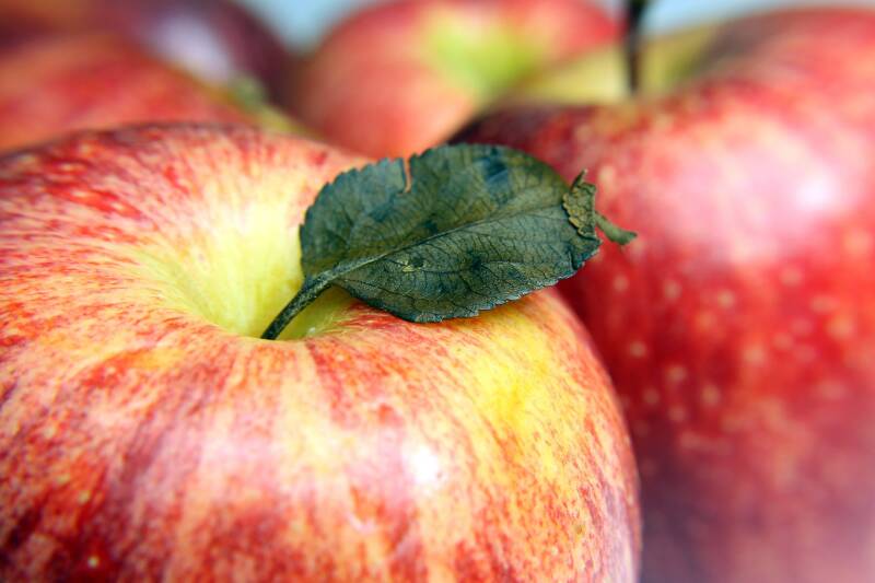 Gala Apple Pixabay Gadini