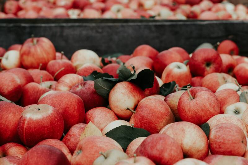 Manzanas Joanna Nix-Walkup (Unsplash)