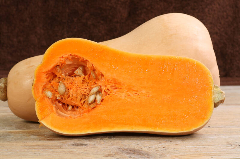 Butternut 
