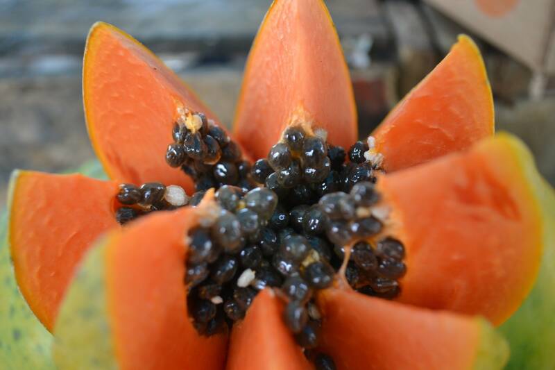 Papaya con semillas