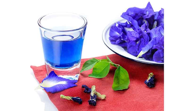 Té de flor de guisante de mariposa bluechai, Taza de té de guisante de mariposa de color azul.