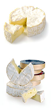 Imagen de Queso Camembert y Envasado.