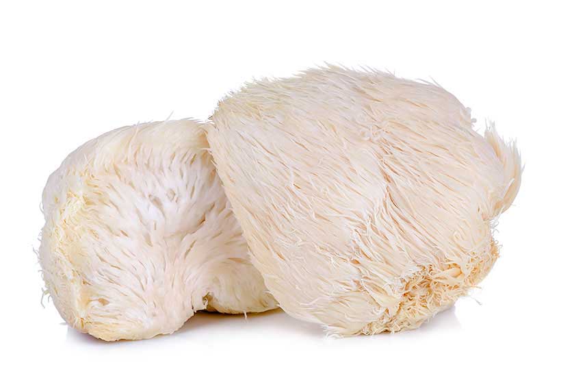 Imagen de Hongos León Melena (Hericium erinaceus).