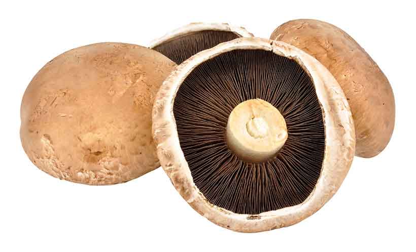 Imagen de hongos portobello (Agaricus bisporus).