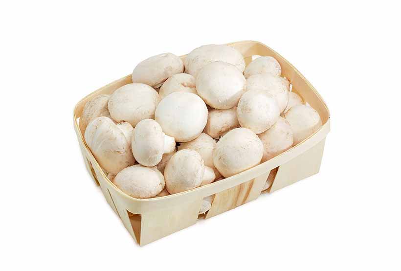 Un Punnet de Champiñones Blancos.