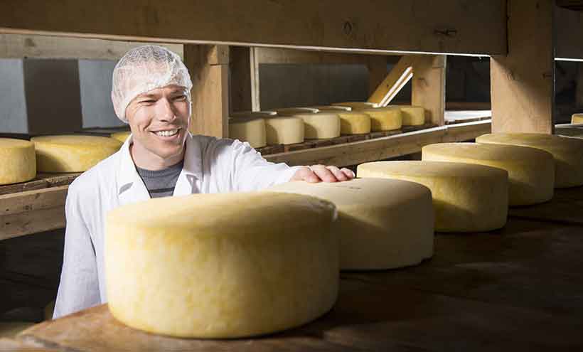 Fabricante de queso mirando grandes ruedas de queso.