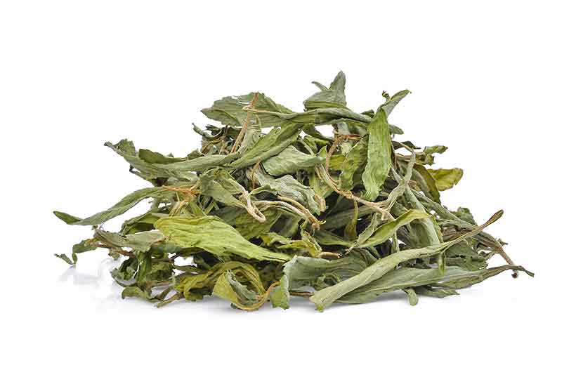 Whole Little Stevia es dulce. Hojas de Stevia verdes enteras secas.