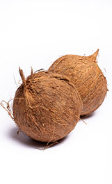Dos cocos llenos marrones peludos.