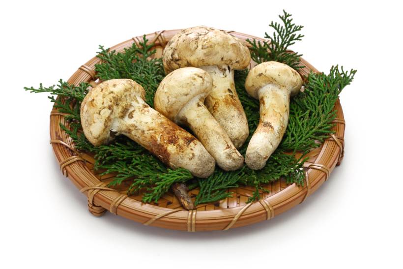 Champiñones Crudos Matsutake En Un Plato.