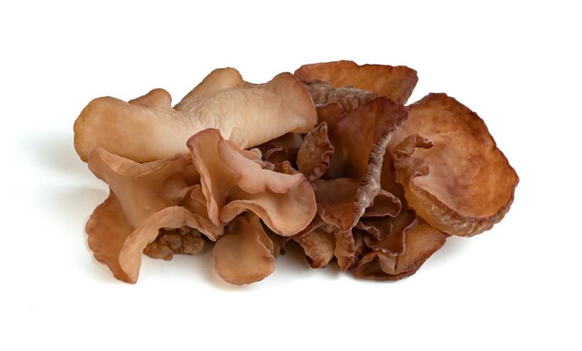 Hongo Pepeao (Oreja de los Judíos).
