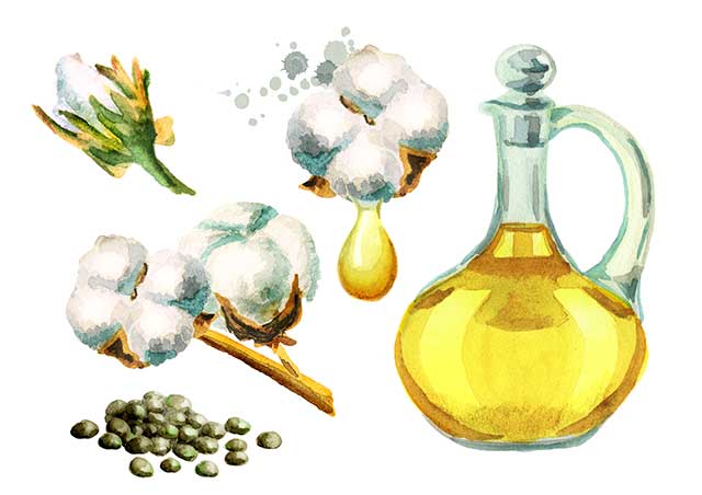 Tarro de aceite de algodón cerca de plantas y semillas de algodón,