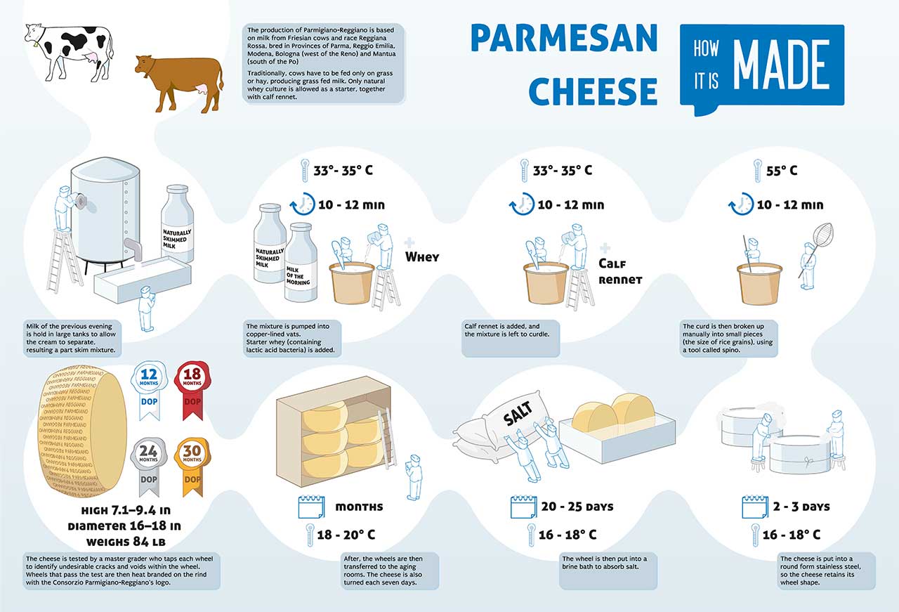 Infografía que muestra el queso Parmigiano-Reggiano.