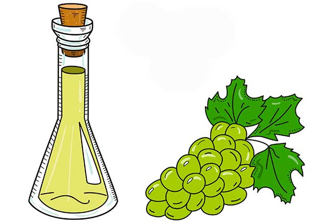 Botella de aceite de semilla de uva dibujada a mano junto a uvas verdes.
