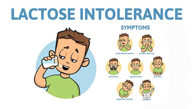 Infografía que muestra los síntomas de la intolerancia al lactus.
