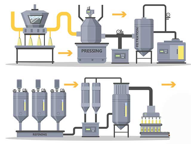 Ilustración que muestra el proceso de producción de aceite de semilla de uva.