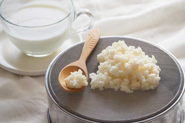 Grano de kéfir de leche casera y vaso de kéfir.
