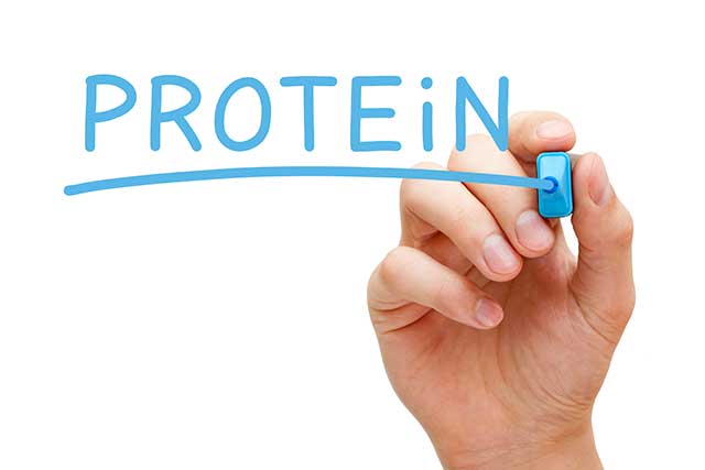 La Palabra 'Proteína' Escrita A Mano Con Un Rotulador Azul.