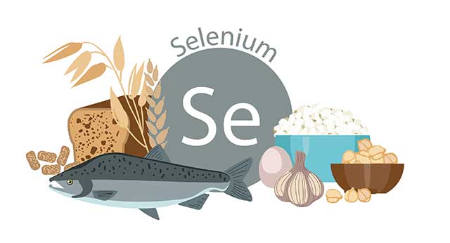 Queso ricotta y algunos otros alimentos ricos en selenio.