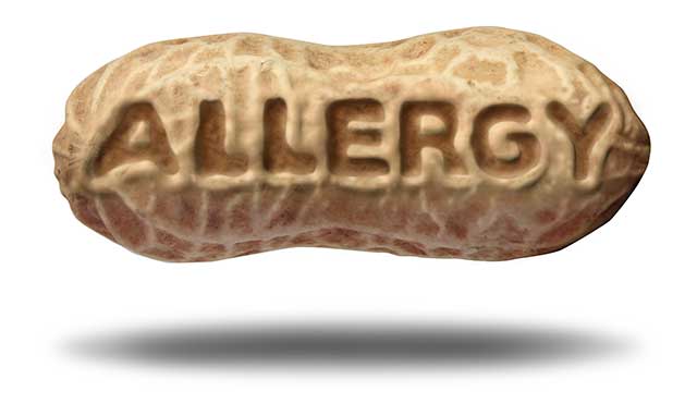 Cacahuetes en su cáscara con "alergia" escrito en él.
