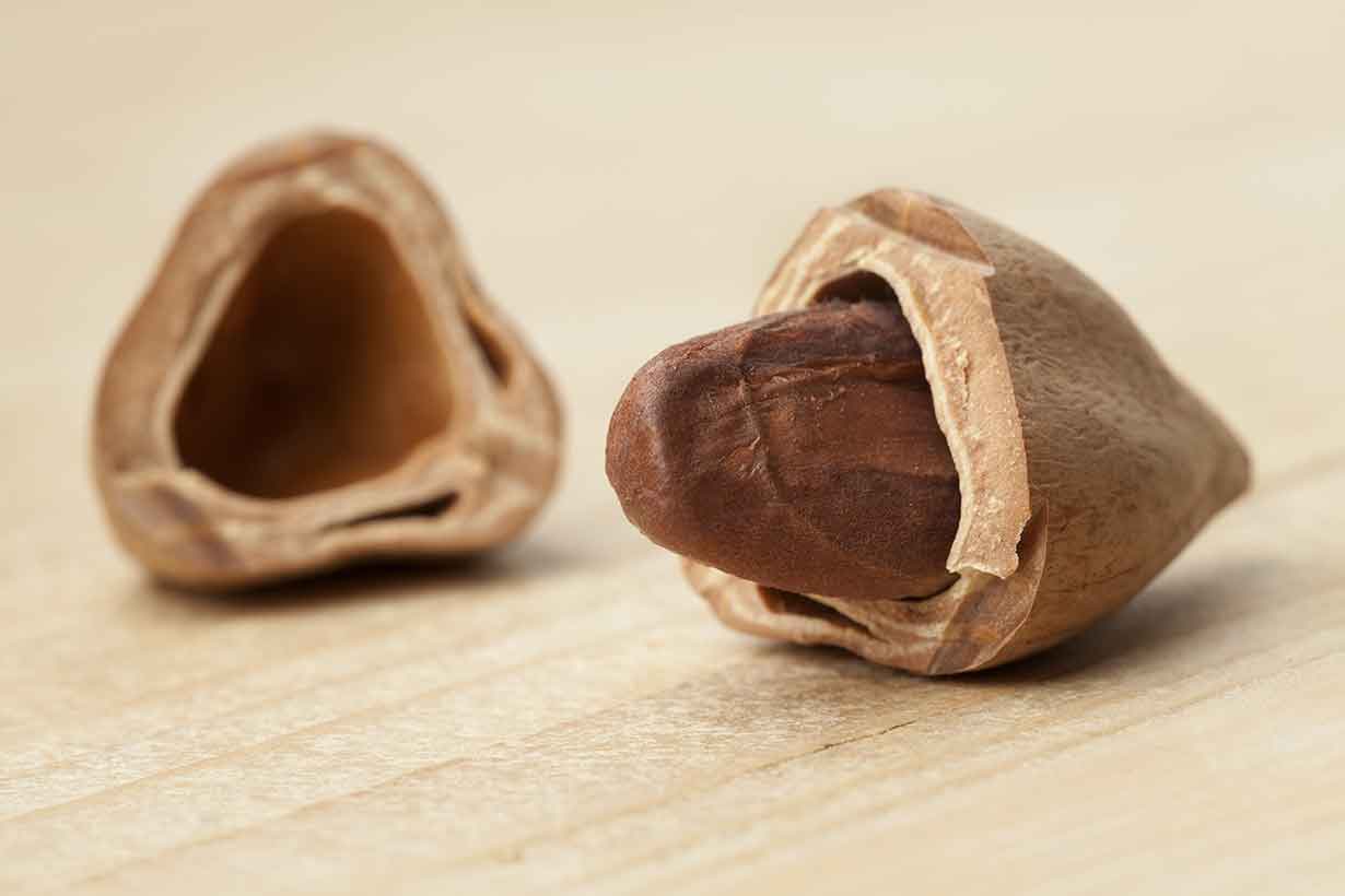 Nuez de pili en la mitad de su cáscara.