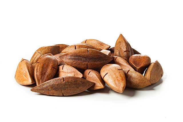 Nueces De Pili (Canarium Ovatum) En Sus Cáscaras.