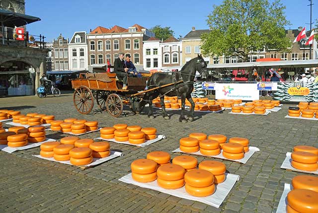 Ruedas de queso Gouda en el mercado tradicional de queso Gouda.