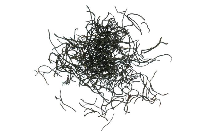 Alga Hijiki seca (Sargassum Fusiforme).