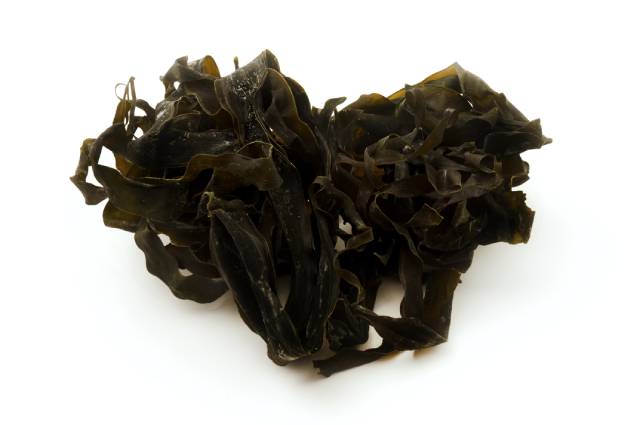 Drumlin Drum: un vegetal de vegetales que crece alrededor del Atlántico.