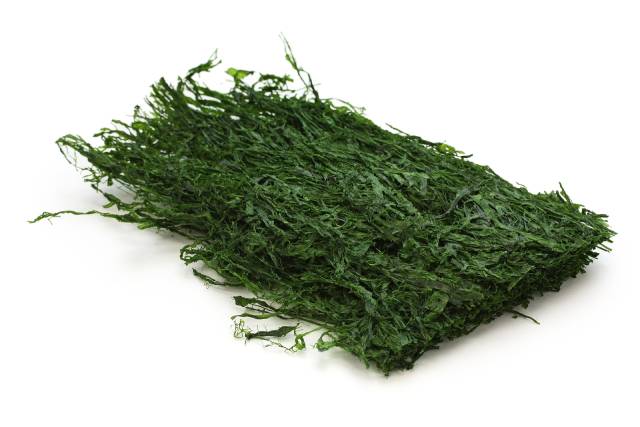 Alga Aonori seca (Monostroma hariotti).